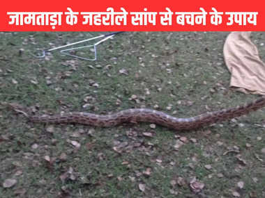 जामताड़ा के जहरीले सांप से बचने के उपाय